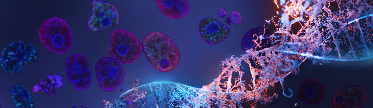 III Congress of Chemical Biology and IV Symposium of Biological Science Department