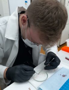 Rotina do Laboratório LabCronoMol